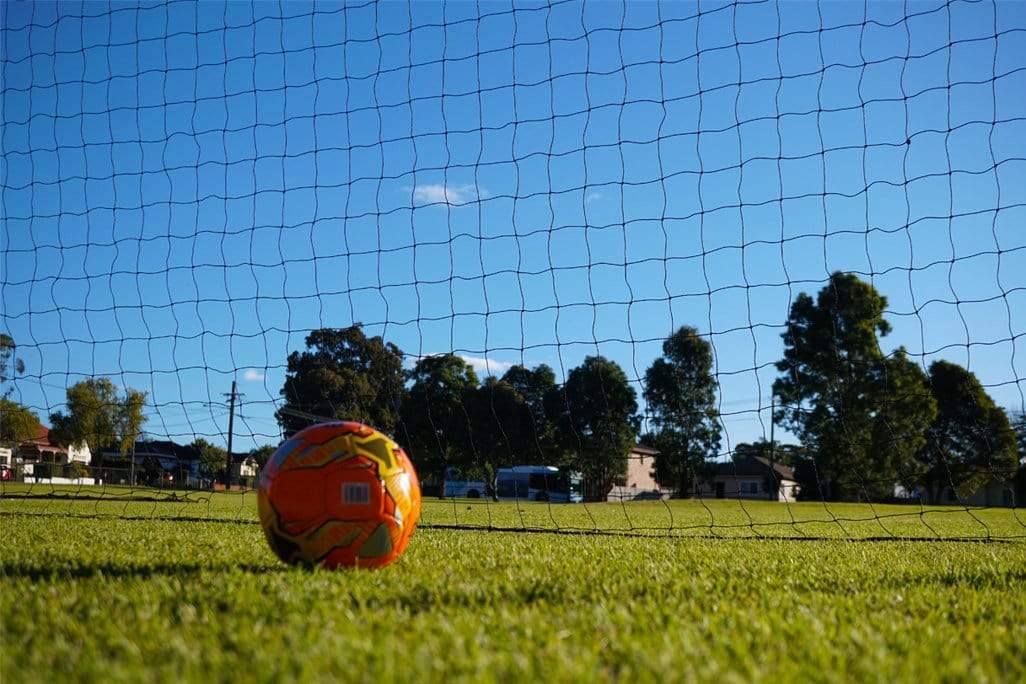 Cricket Barrier Net with Support Posts - 40mm sq (Multiple Sizes) - Image 7