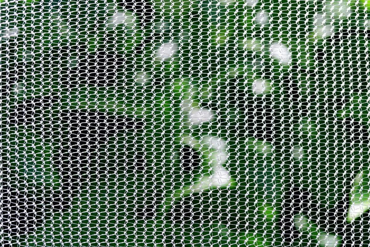 Fruit Fly & Insect Netting 45GSM - Image 2
