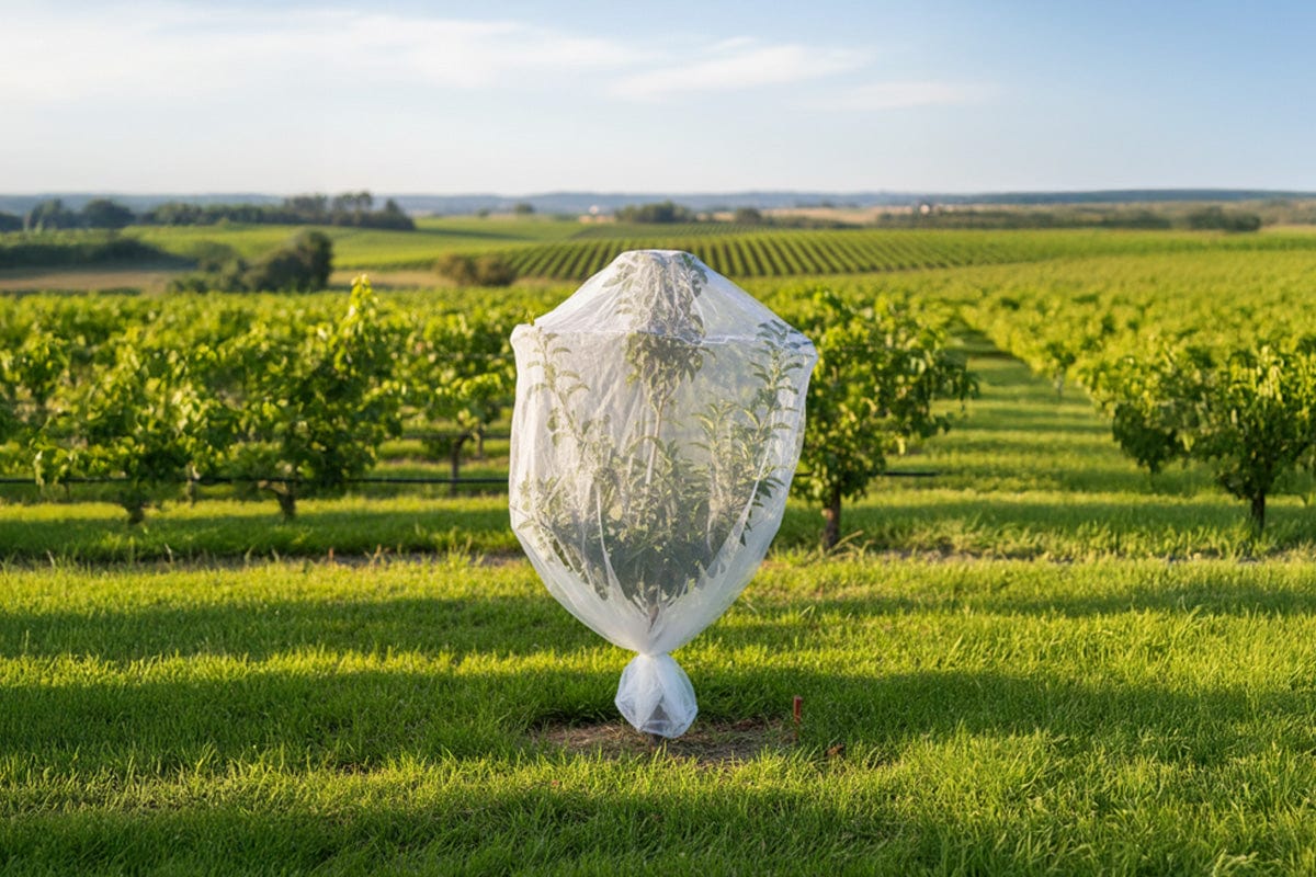 Insect Net: Fruit Tree Cover