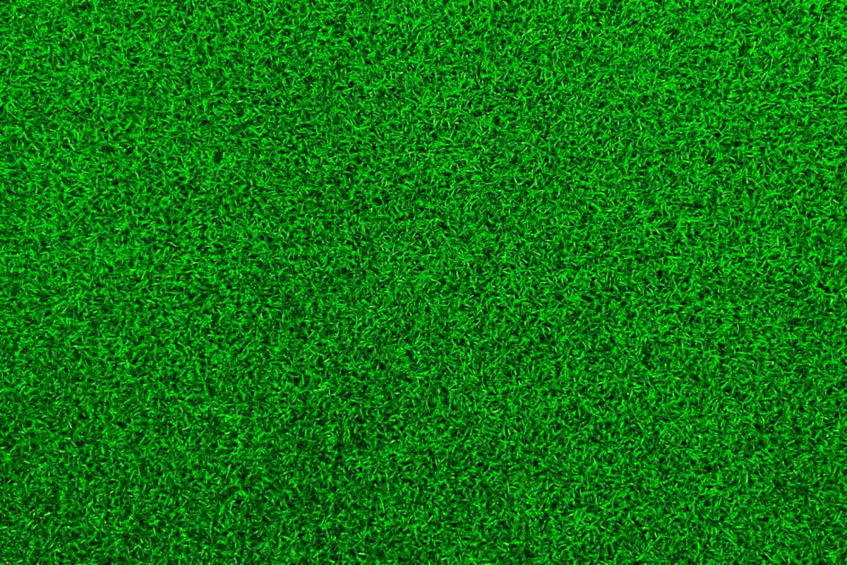 Small Golf Mat - 60cm x 30cm - Image 6